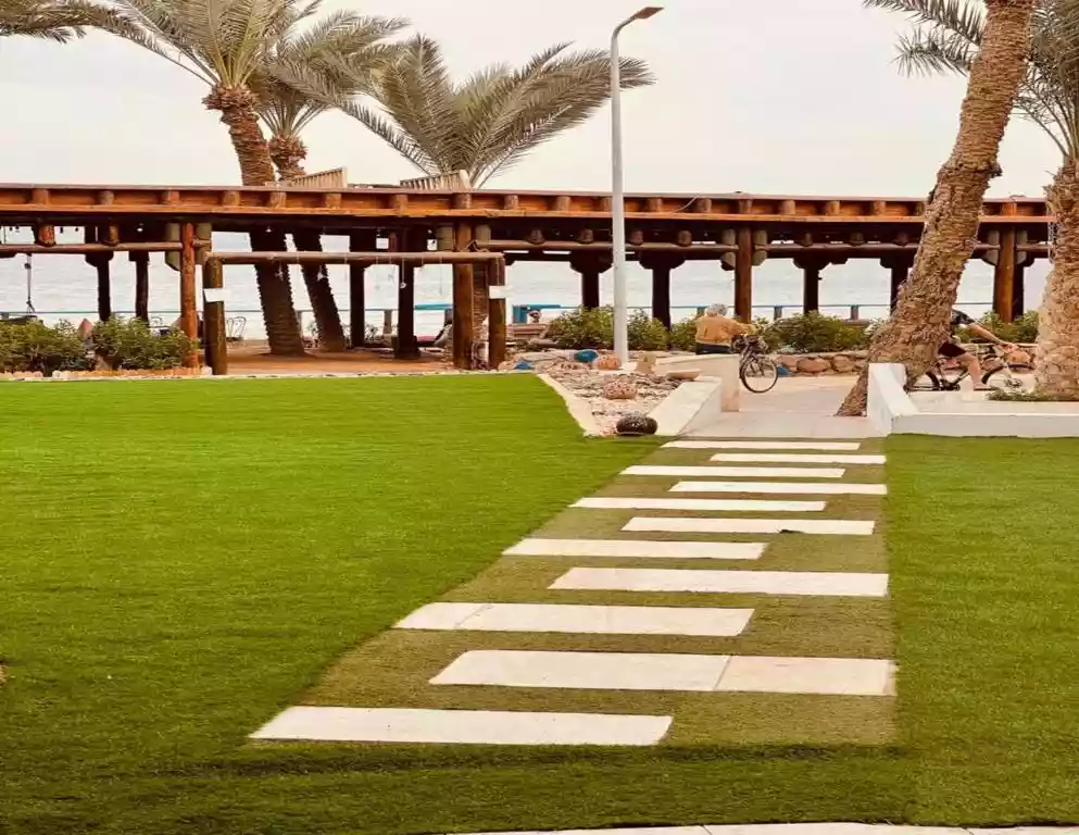 Penguin-Village-Dahab 2