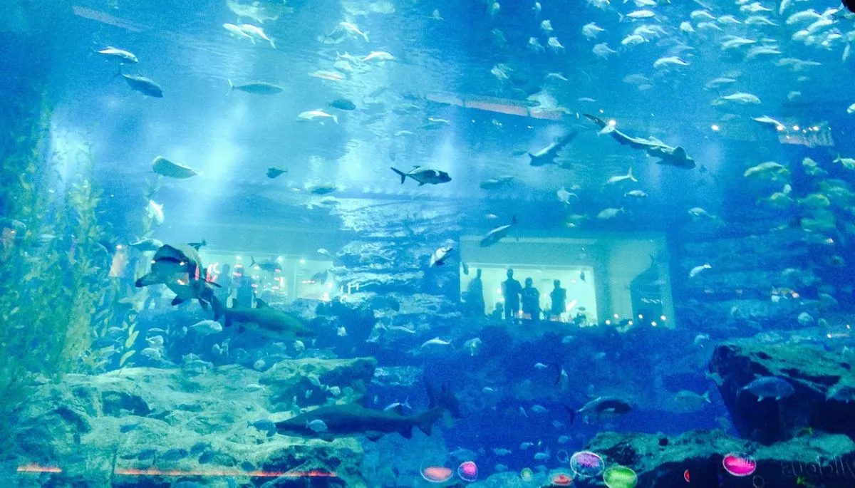 Dubai Travel Guide